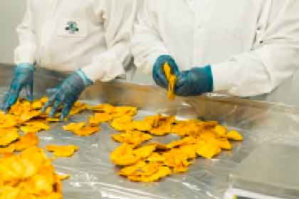 Food Manufacturing