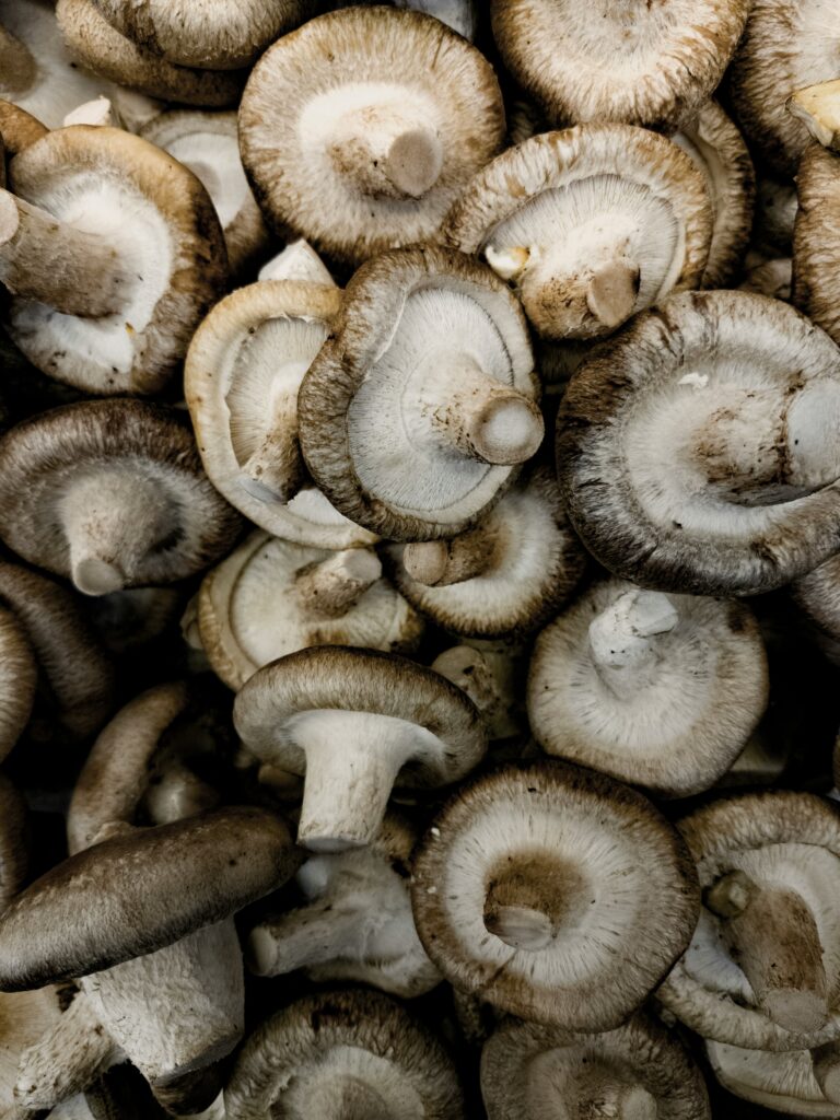 Mushrooms